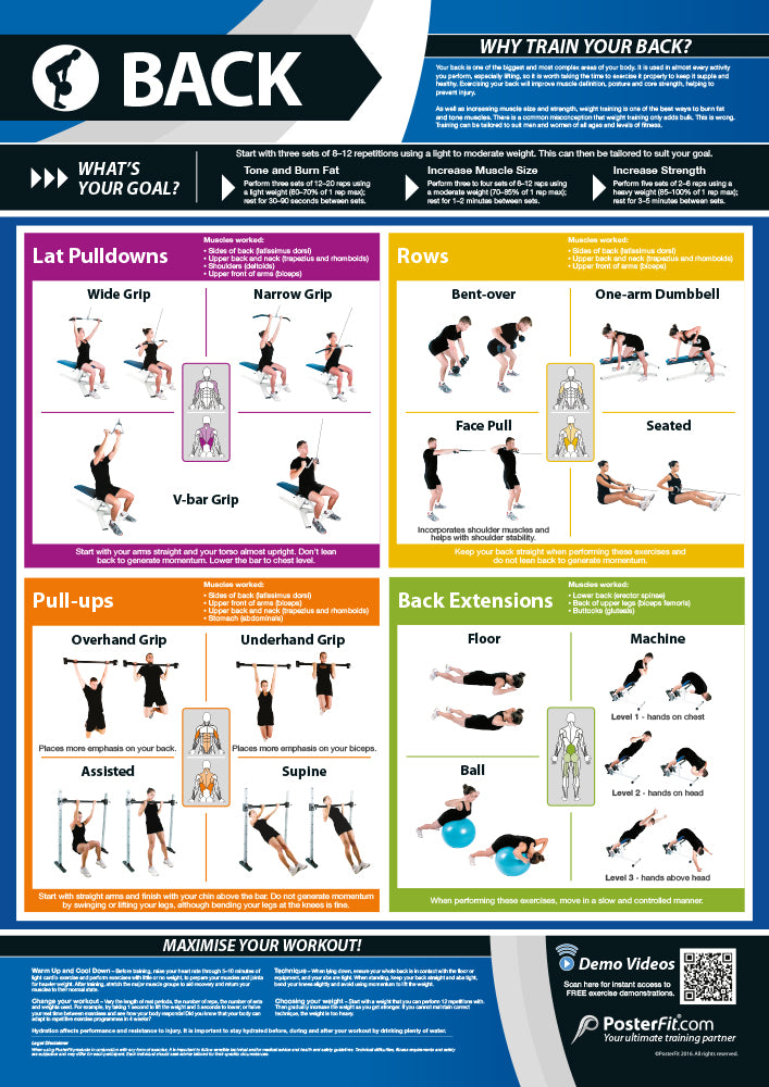 Back Exercise Poster, Back Training Guide, Weight Training, Muscle Building, Fat Loss, A1 Laminated, Fitness Education, Physical Health, Gym Routine, Teaching Materials, Workout Insights, Comprehensive Back Exercises, Expert Tips, A1 Size Educational Poster, Interactive Gym Learning, A1 Gym Poster, Physical Education Poster, Physical Education Charts for the Classroom, Gym Visual Aid, Educational School Posters, Classroom Posters, Gym Poster