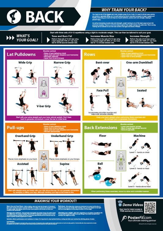 Back Exercise Poster, Back Training Guide, Weight Training, Muscle Building, Fat Loss, A1 Laminated, Fitness Education, Physical Health, Gym Routine, Teaching Materials, Workout Insights, Comprehensive Back Exercises, Expert Tips, A1 Size Educational Poster, Interactive Gym Learning, A1 Gym Poster, Physical Education Poster, Physical Education Charts for the Classroom, Gym Visual Aid, Educational School Posters, Classroom Posters, Gym Poster