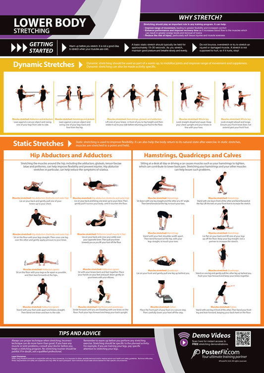 Lower Body Stretching Poster, Fitness Education, Physical Health, Gym Routine, Teaching Materials, Workout Insights, Comprehensive Stretching Guide, Dynamic Stretches, Static Stretches, A1 Size Educational Poster, Interactive Gym Learning, A1 Gym Poster, Physical Education Poster, Physical Education Charts for the Classroom, Gym Visual Aid, Educational School Posters, Classroom Posters, Gym Poster