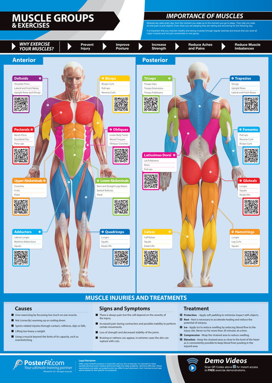 Muscles Groups and Exercises Poster, A1 Laminated, Fitness Education, Physical Health, Gym Routine, Teaching Materials, Workout Insights, Key Muscle Groups, Strengthening Exercises, Injury Prevention, A1 Size Educational Poster, Interactive Gym Learning, A1 Gym Poster, Physical Education Poster, Physical Education Charts for the Classroom, Gym Visual Aid, Educational School Posters, Classroom Posters, Gym Poster