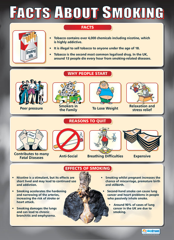Facts About Smoking Poster, Wellbeing Poster, Counselling Poster, PSHE Poster, Health Poster, Educational Posters for School, Educational Charts