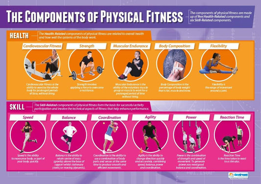 The Components of Physical Fitness Poster