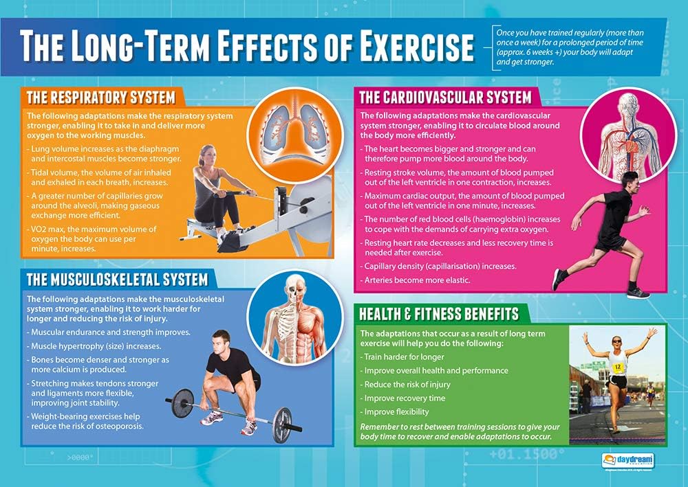 The Long-Term Effects of Exercise Poster
