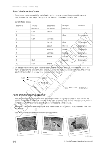 Biology Basics & Beyond Book 3, Book, Essential Resources, Activities, Animals, Biodiversity, Biology, Book, Bright Education Australia, Chemistry, Earth Science, Evolution, Female Authors, Habitats, Physics, Product, Product Sets, Science, Teacher Resources, Bright Education Australia,