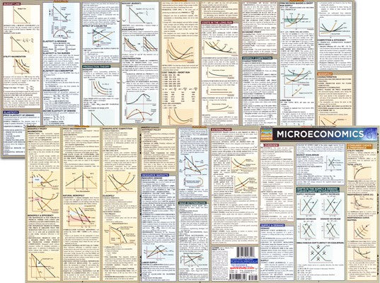 Microeconomics Quickstudy Guide, Accounting, Finance, Quantitative Data, Financial Data, Market Share, Market Growth, Marketing, A1 Poster, Economics, Business, Teaching Resources, Book, Bright Education Australia