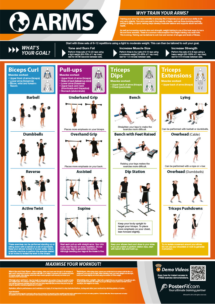 Fitness Posters | Exercise Posters | Gym Posters | Physical Education ...