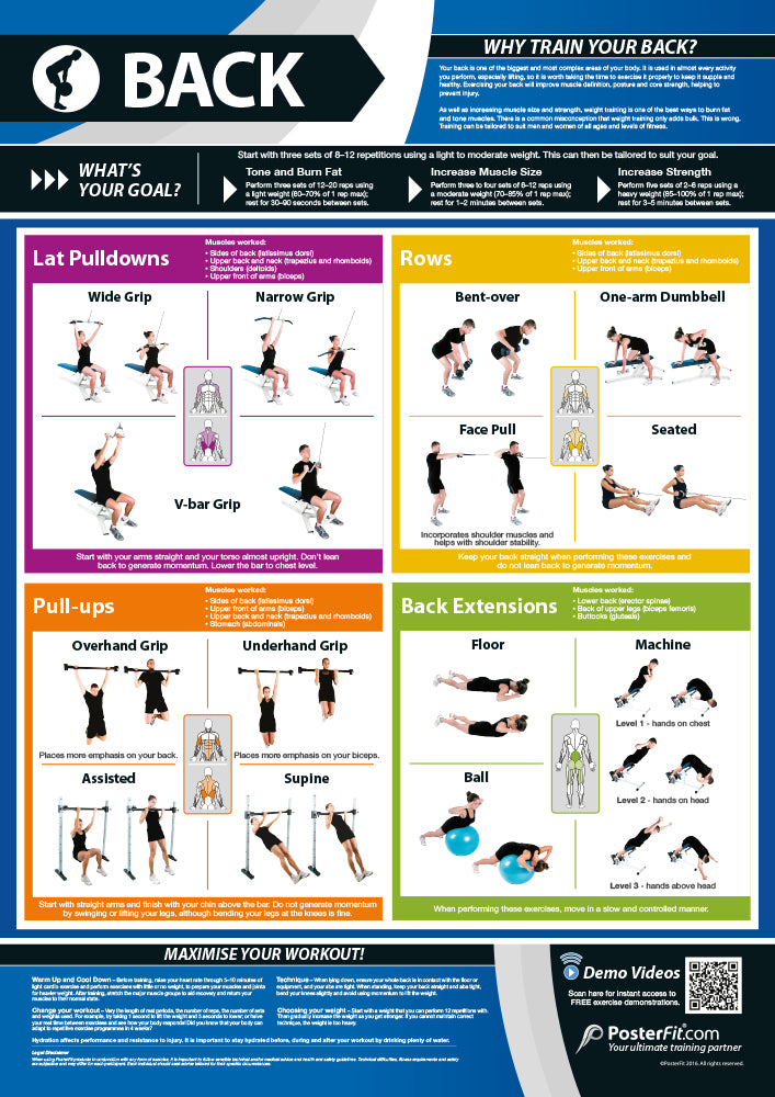 Exercise Posters, Gym & Fitness, Fitness Posters, Exercise Posters, Gym Posters, Physical Education Posters, PE Posters
