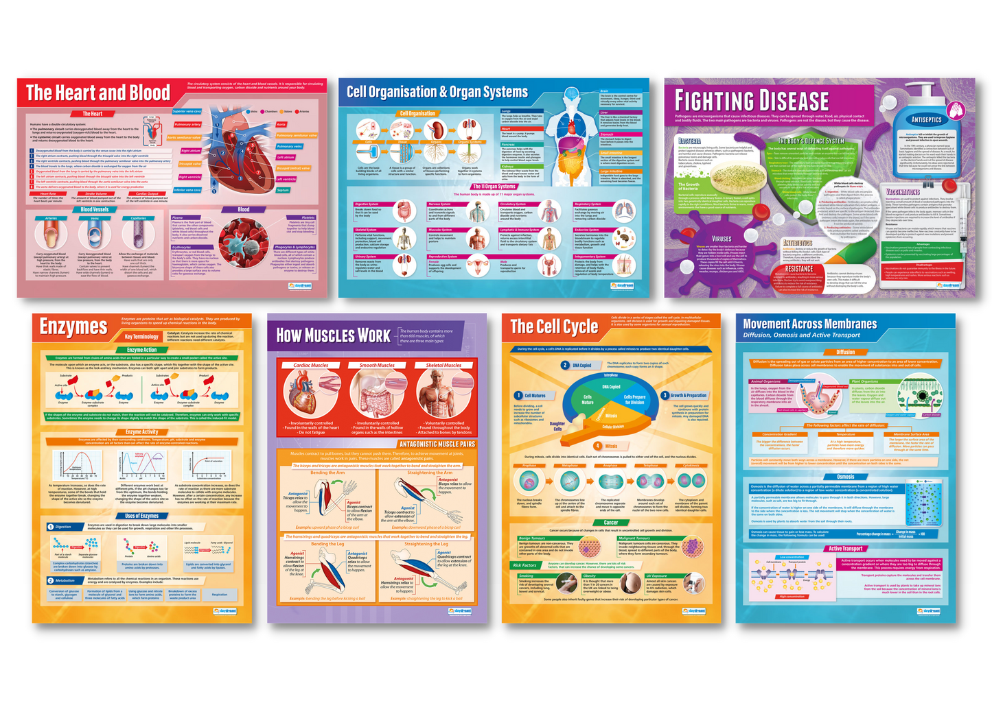 Science Posters, Science Education Resources, Science Charts for the Classroom, Science Posters, Biology Posters, Medicine Studies