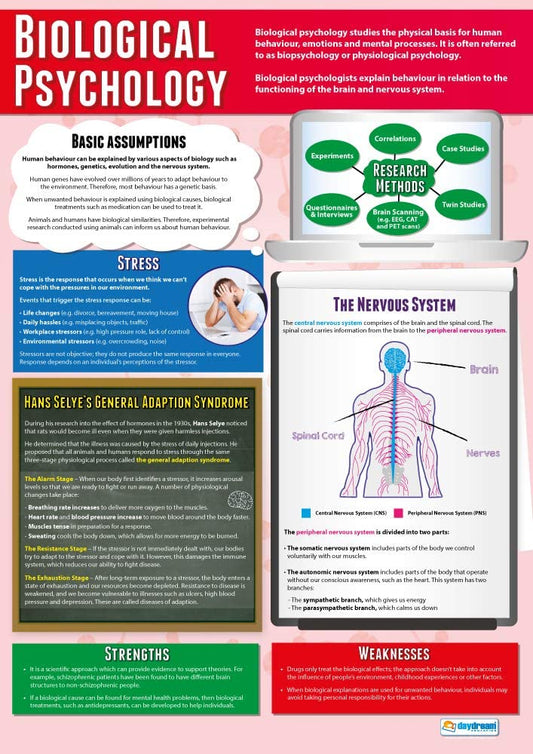 Biological Psychology Poster, Psychology Posters, Psychology Charts for the Classroom, Psychology Education Charts, Educational School Posters, Classroom Posters, Perfect for Psychology Teachers, Psychology Classroom