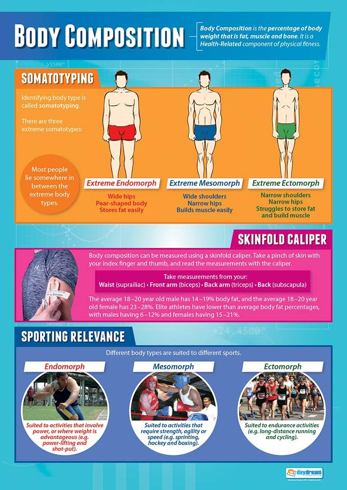 Body Composition Poster | Physical Education Poster | PE Poster ...