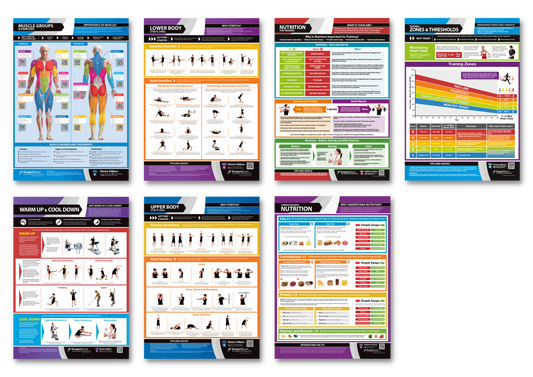 Body Conditioning Posters, Gym & Fitness, Fitness Posters, Exercise Posters, Gym Posters, Physical Education Posters, PE Posters