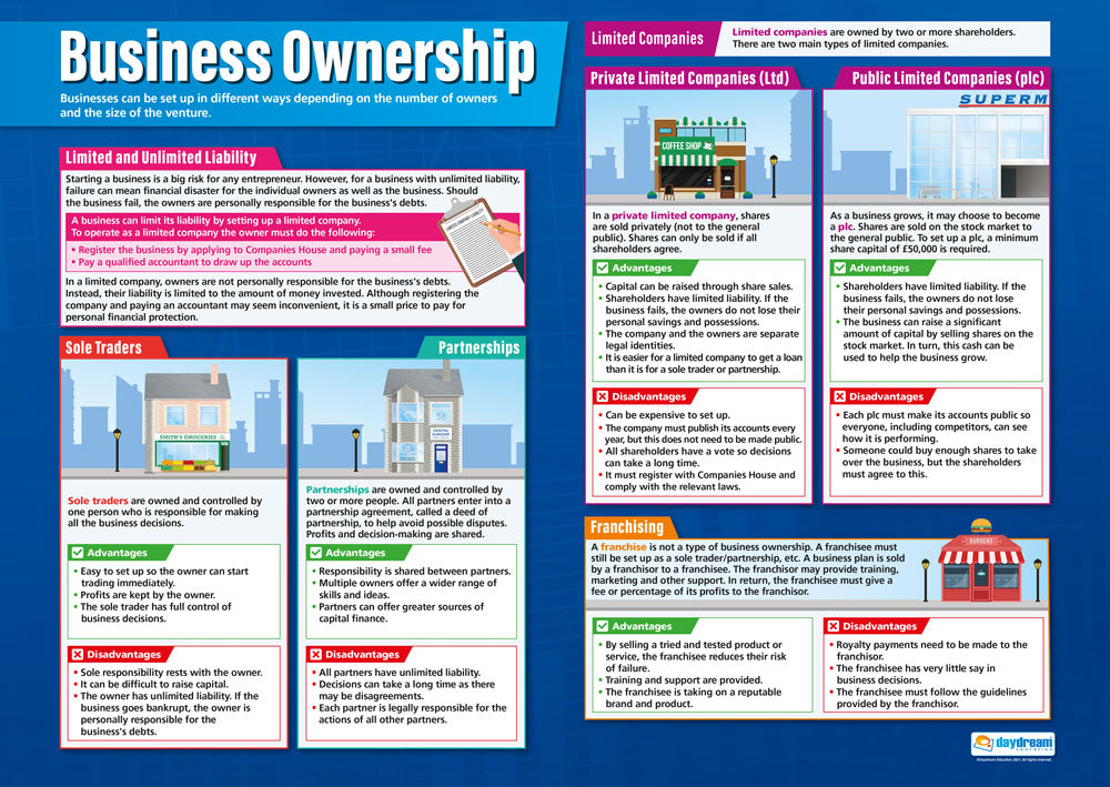 Business Ownership Poster, Business Studies Posters, Business Studies Charts for the Classroom, Economics Education Charts, Educational School Posters, Classroom Posters