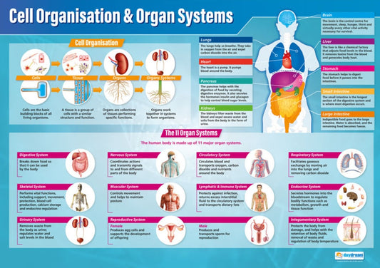 Cell Organisation & Organ Systems Poster, Science Posters, Physics Posters, Science Charts for the Classroom, Science Education Charts, Educational School Posters, Classroom Posters, Perfect for Science Teachers, Physics Classroom, Chemistry Posters, Biology Posters, Chemistry Classroom, Biology Classroom