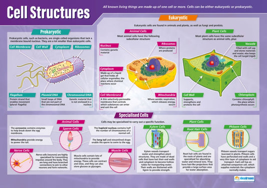 Cell Structures Poster, Science Posters, Physics Posters, Science Charts for the Classroom, Science Education Charts, Educational School Posters, Classroom Posters, Perfect for Science Teachers, Physics Classroom, Chemistry Posters, Biology Posters, Chemistry Classroom, Biology Classroom
