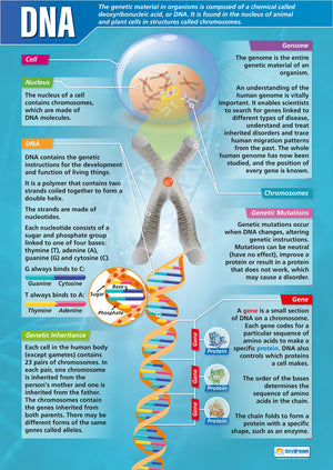 Educational Posters & Books | Bright Education Australia