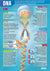 Educational Posters & Books | Bright Education Australia
