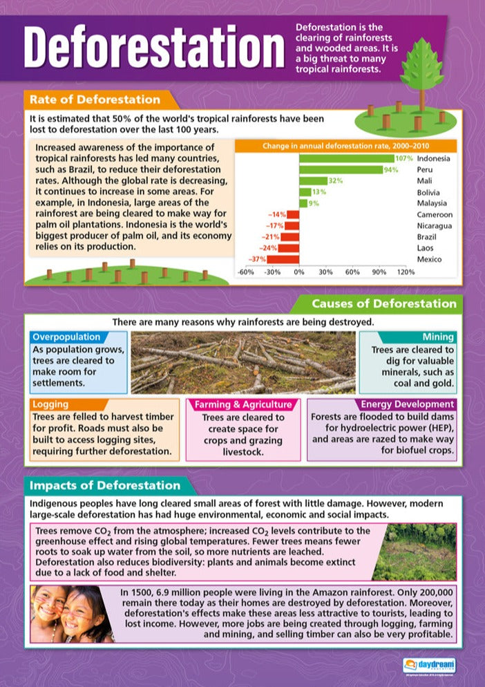 Deforestation Infographic