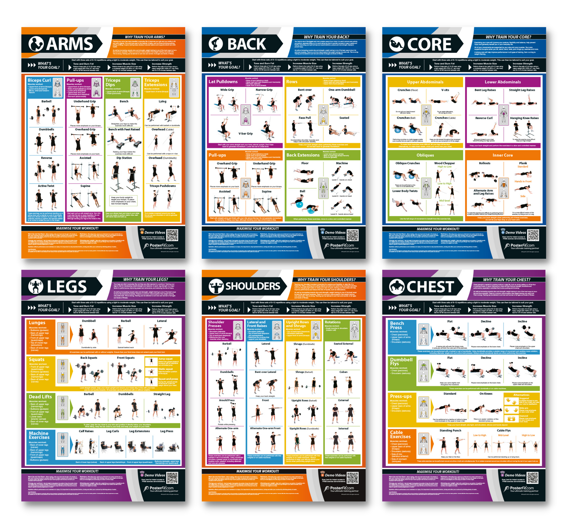 Exercise Posters, Gym & Fitness, Fitness Posters, Exercise Posters, Gym Posters, Physical Education Posters, PE Posters