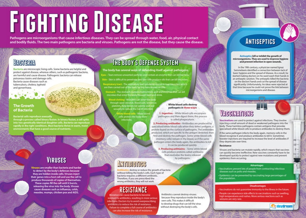 Biological Processes Poster Set of 7 – Bright Education Australia