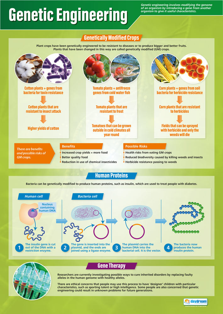 Genetic Engineering Poster | Science Posters | Biology Posters | STEM ...