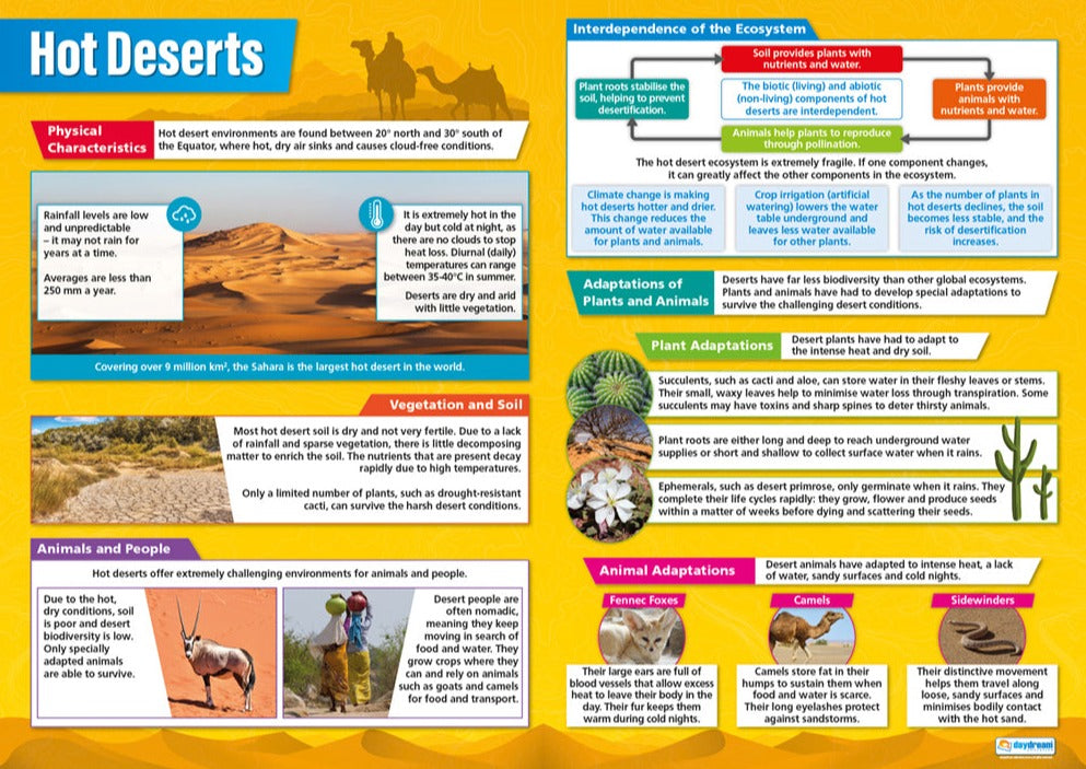 Hot Deserts Poster, Geography Posters, Geography Charts for the Classroom, Geography Education Charts, Educational School Posters, Classroom Posters, Perfect for Geography Teachers, Humanities Classroom, Humanities Poster, Learning Resource, Visual Learning, Classroom Decor