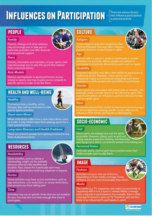 Influences on Participation Poster, Physical Education Poster, PE Poster, Sports Ed Poster, Sport Education Poster, Physical Education Chart, PE Chart, Sports Ed Chart, Sport Education Chart