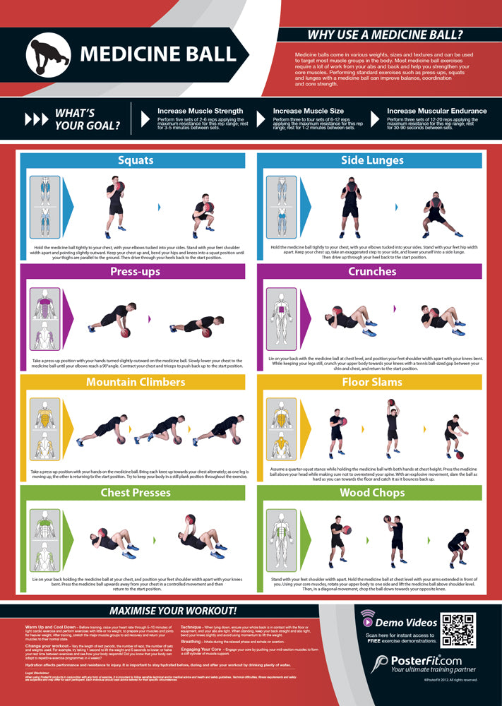 Fitness Posters | Exercise Posters | Gym Posters | Physical Education ...