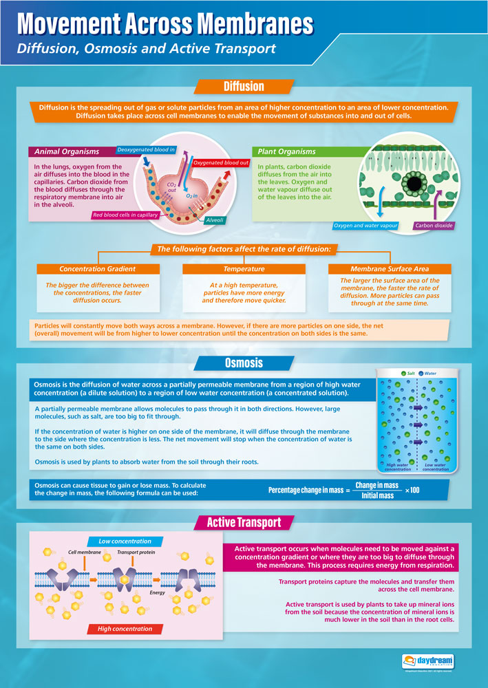 Biological Processes Poster Set of 7 – Bright Education Australia