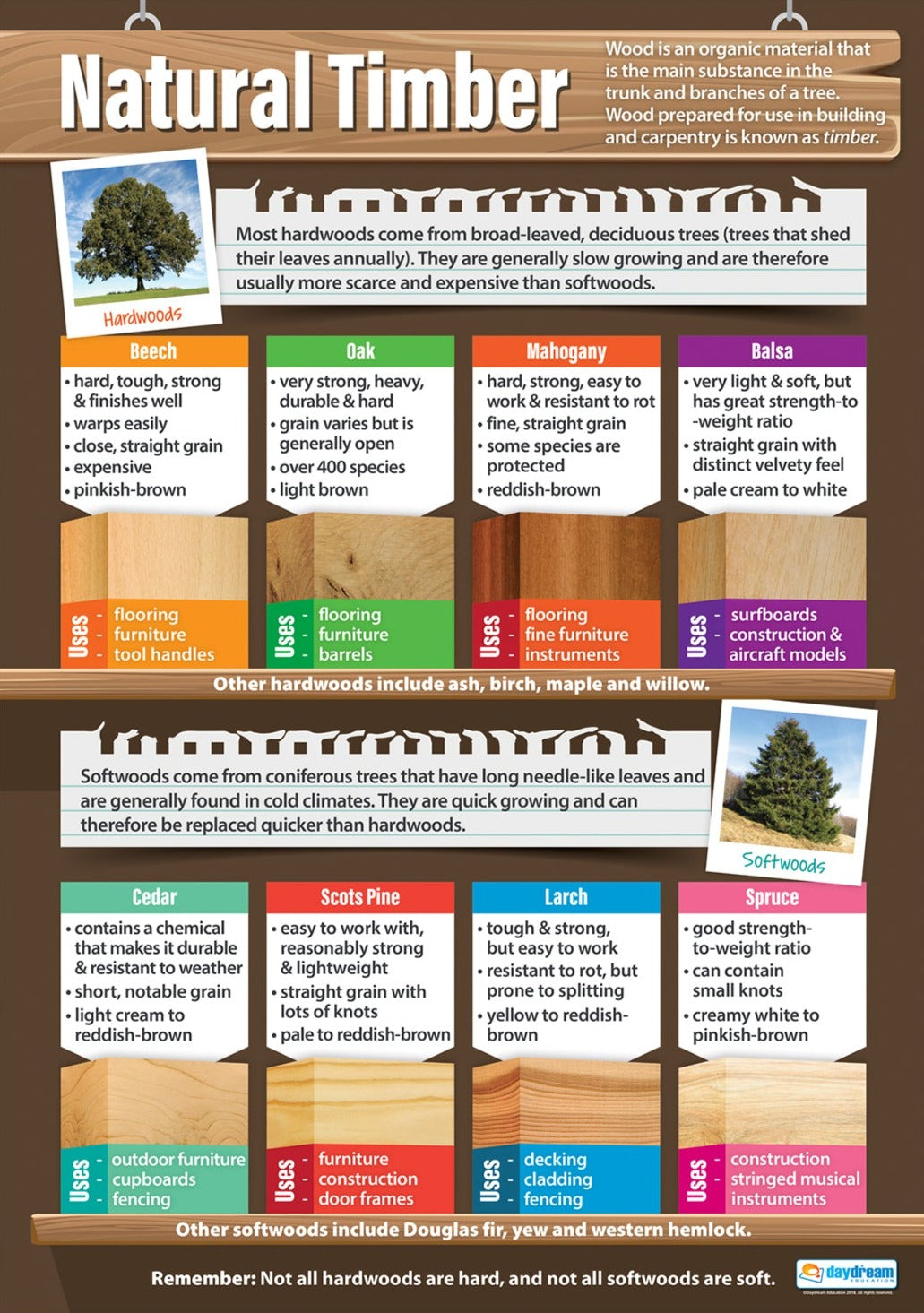 Timber List Natural Timber Poster | Design & Technology Poster | Design ...