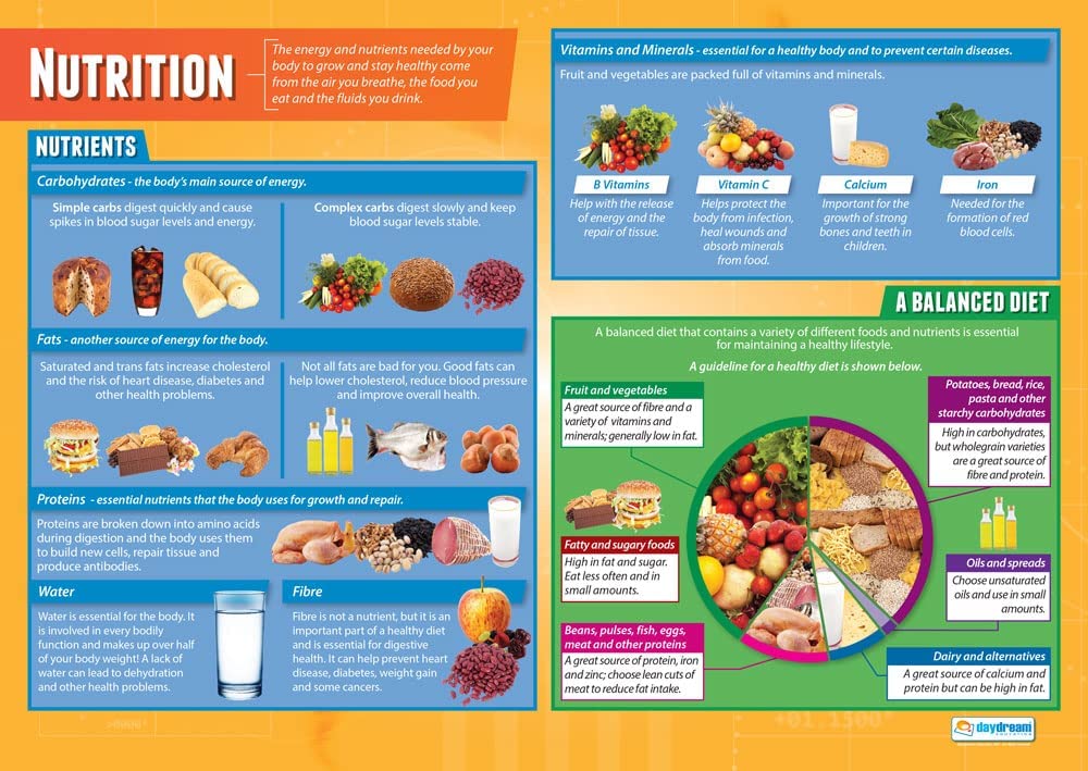 Nutrition Poster | Food Science Poster | Gym & Fitness Poster ...