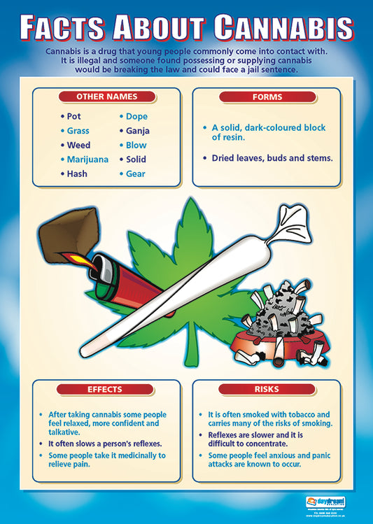 Facts About Cannabis Poster, Wellbeing Poster, Counselling Poster, PSHE Poster, Health Poster, Educational Posters for School, Educational Charts