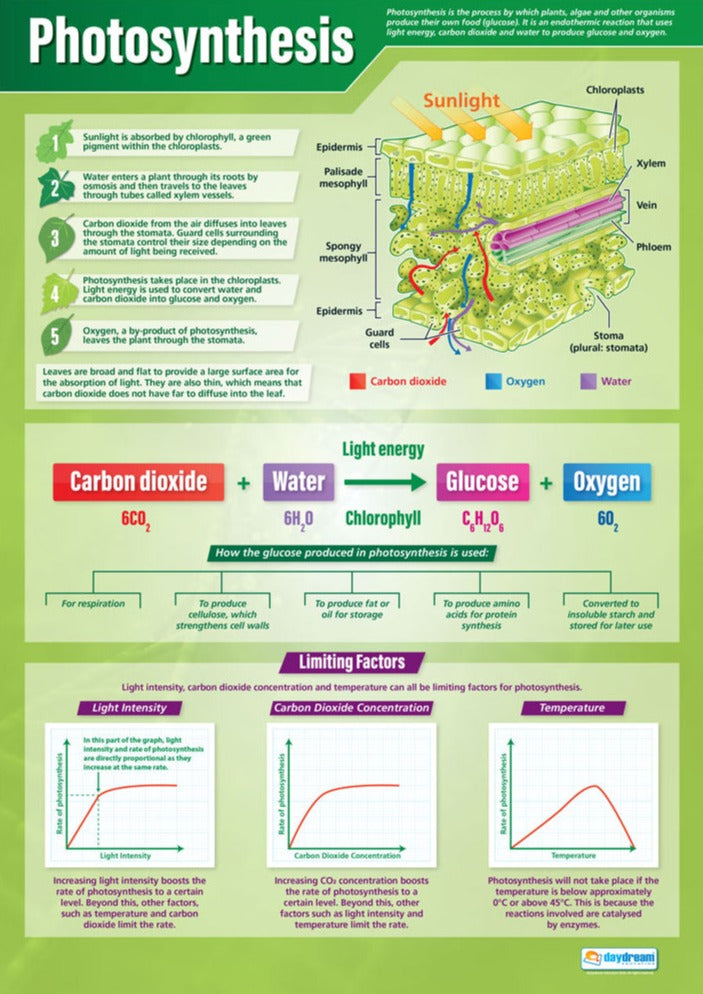 Photosynthesis Lab Rposter Photosynthesis Poster | Science Posters | Biology Posters | STEM Charts ...