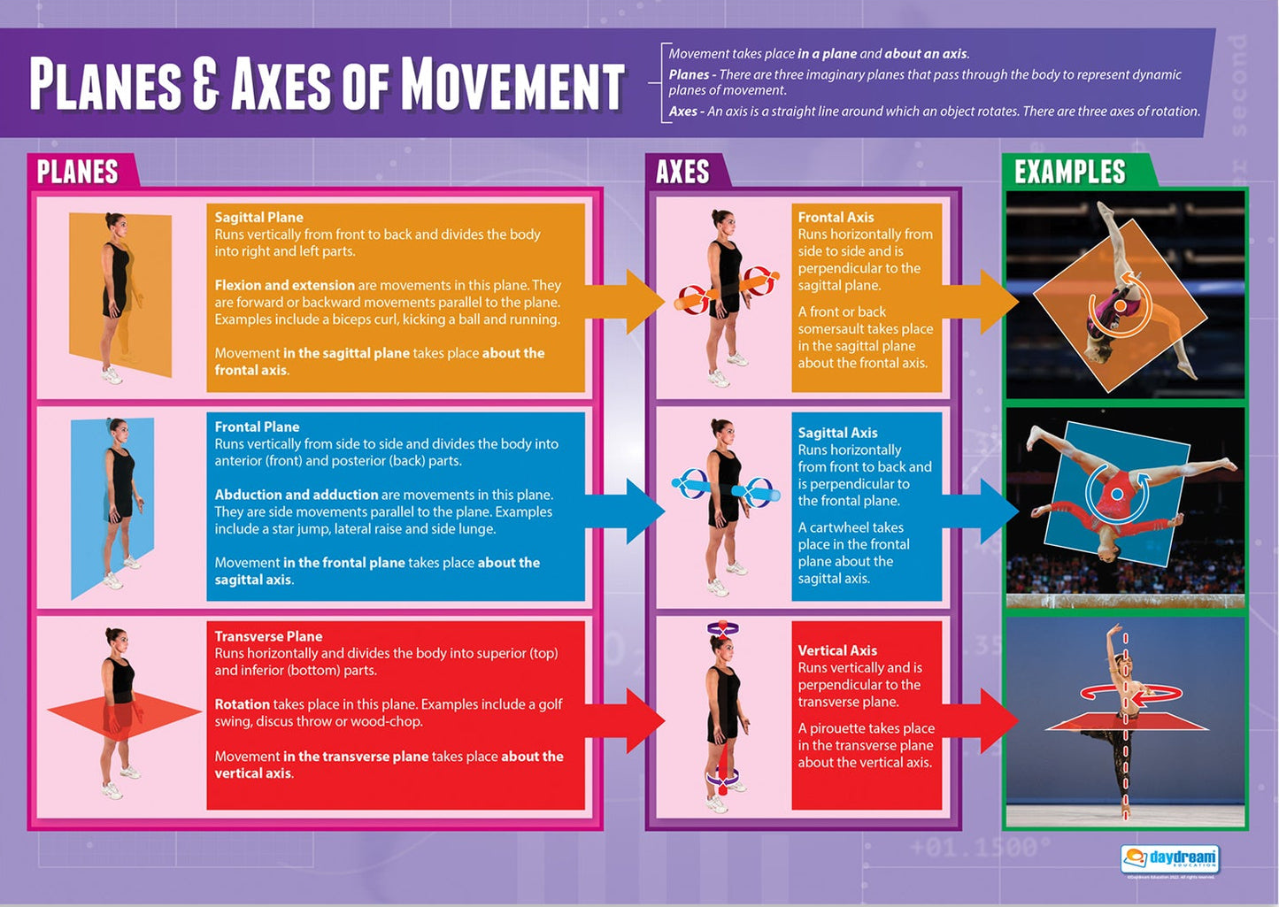 Educational poster on planes and axes of movement with illustrations and text.