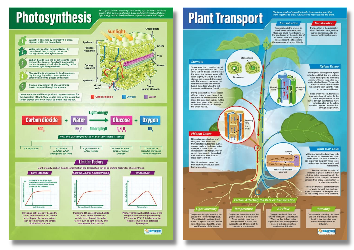 Science Posters, Science Education Resources, Science Charts for the Classroom, Science Posters, Biology Posters
