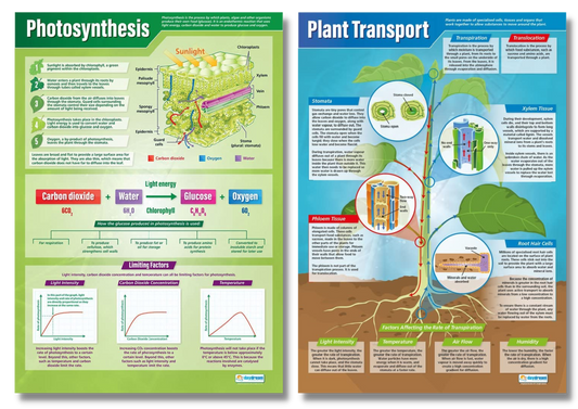 Science Posters, Science Education Resources, Science Charts for the Classroom, Science Posters, Biology Posters