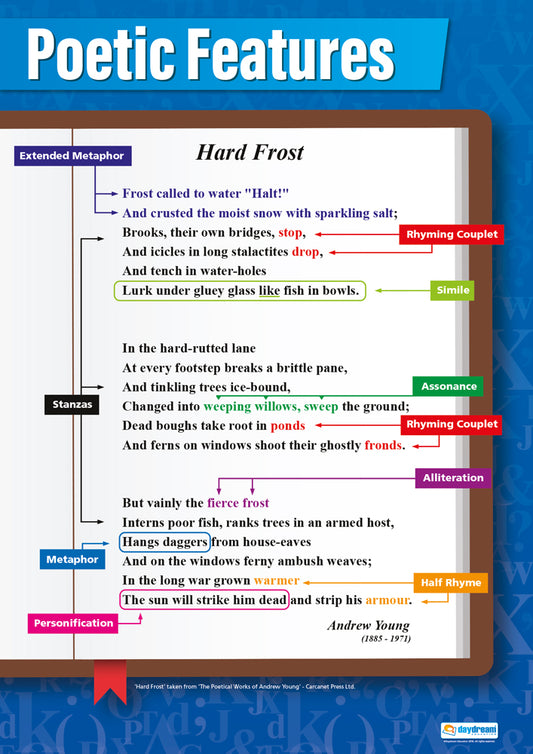 Poetic Features Poster, English Posters, Grammar Posters, Writing Posters, English Charts English Charts for the Classroom