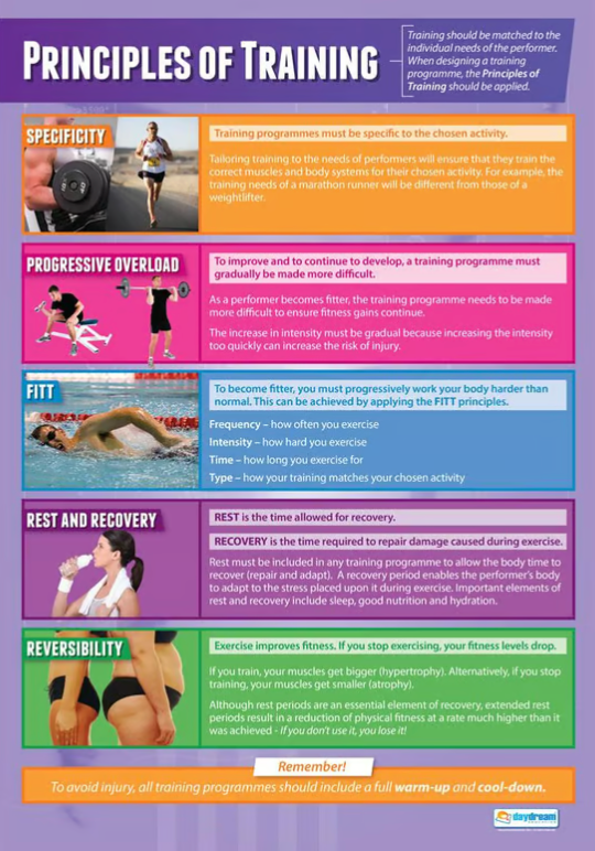 Principles of Training Poster | Physical Education Poster | PE Poster ...