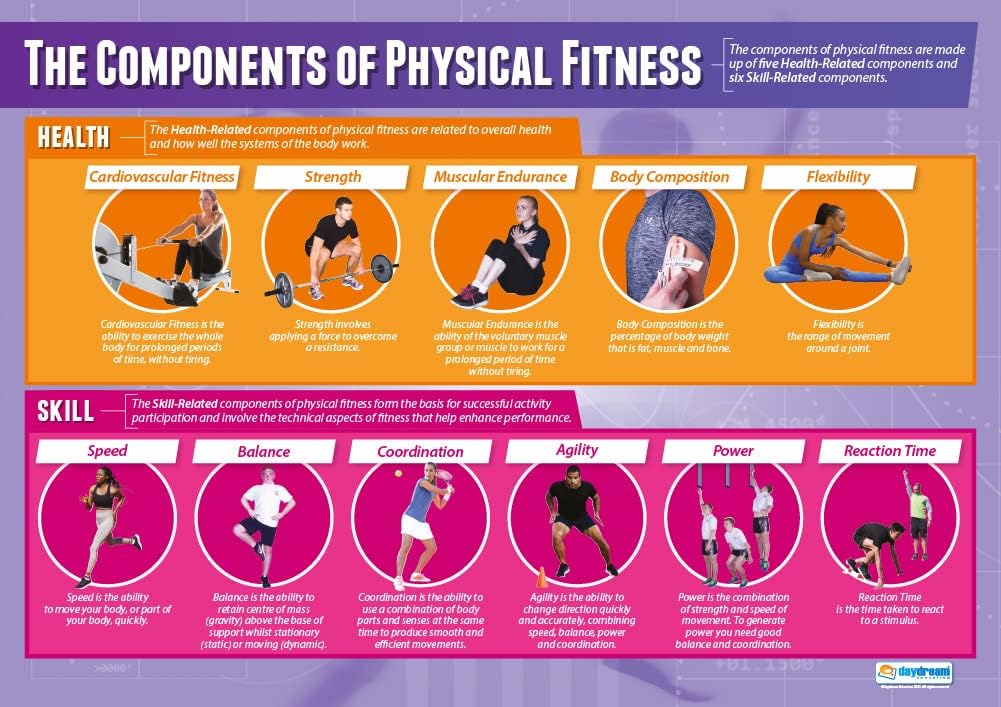 Health Componenets Components of Physical Fitness Poster | PE, PDHPE & Sport Science ...