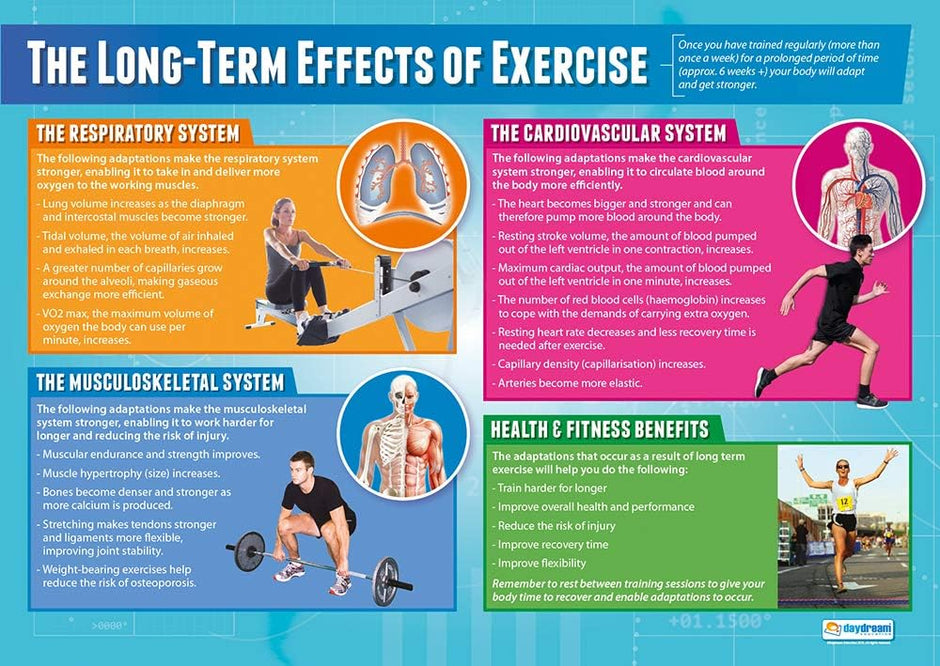 Effects Exercise Red Physical Education, Sport & Fitness Posters | PE, Gym & Coaching ...