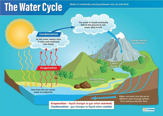 The Water Cycle Poster, Geography Posters, Geography Charts for the Classroom, Geography Education Charts, Educational School Posters, Science Classroom Posters, Perfect for Geography Teachers, Humanities Classroom, Humanities Poster, Learning Resource, Science Charts for the Classroom