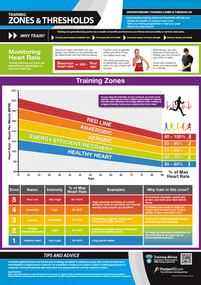 Training Zones & Thresholds Poster | Gym & Fitness Poster | Physical ...