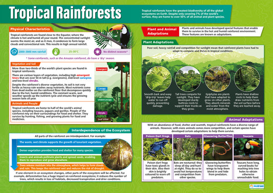 Tropical Rainforests Poster, Geography Posters, Geography Charts for the Classroom, Geography Education Charts, Educational School Posters, Classroom Posters, Perfect for Geography Teachers, Humanities Classroom, Humanities Poster, Learning Resource, Visual Learning, Classroom Decor