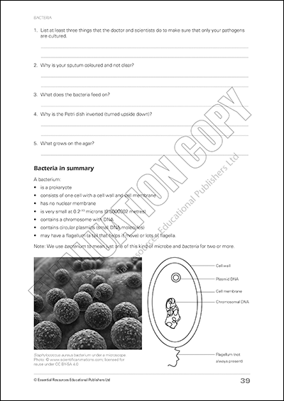 Biology Basics & Beyond Book 1, Book, Essential Resources, Activities, Bacteria, Biology, Book, Bright Education Australia, Chemistry, Earth Science, Experiments, Female Authors, Physics, Product, Product Sets, Science, Science Experiments, Science Labs, Teacher Resources, Virus, Bright Education Australia, 