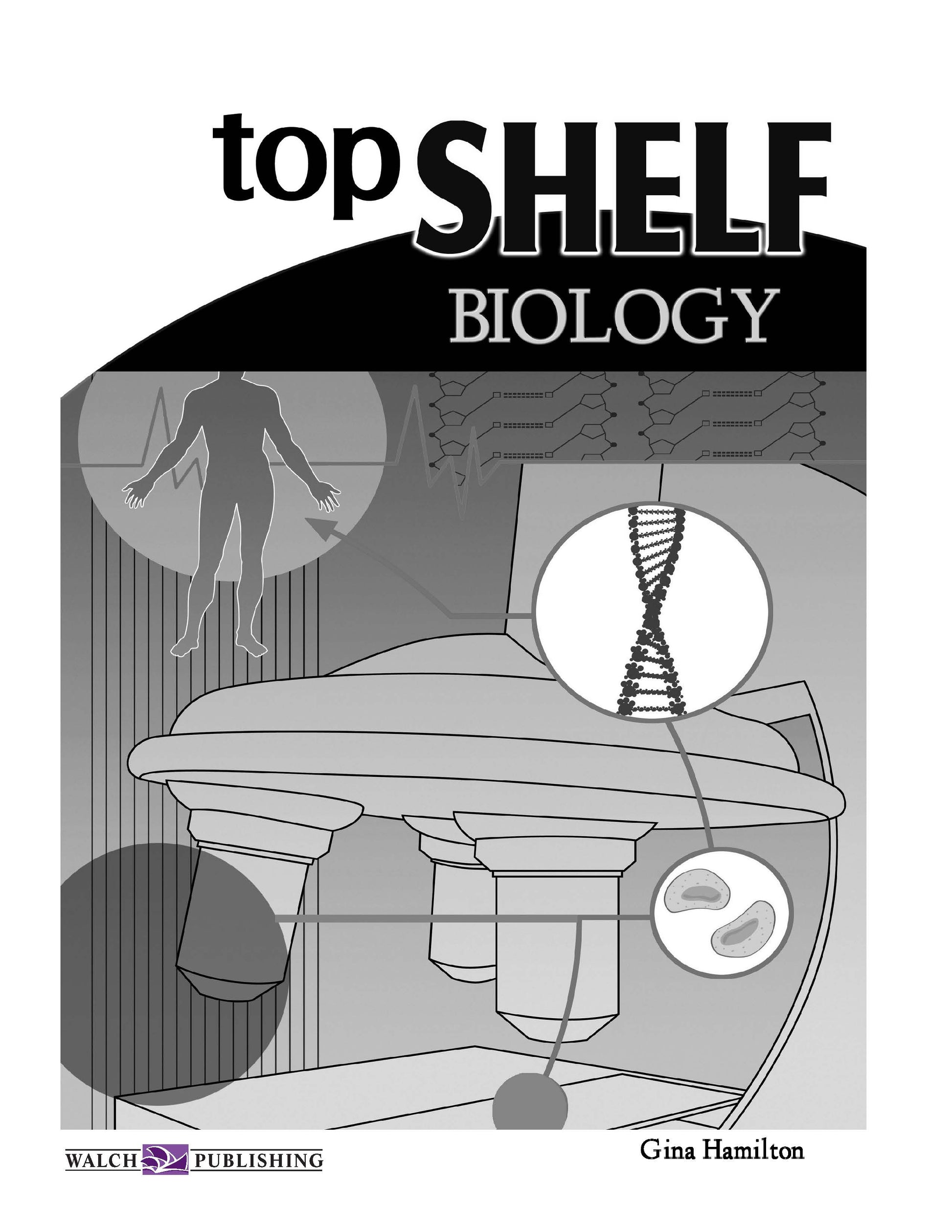 Topshelf Biology, Science, Biology, Physics, Chemistry, Earth Science, Teaching Resources, Poster, Bright Education Australia