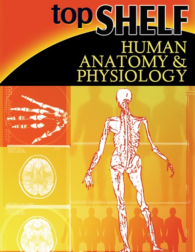TopShelf Human Anatomy & Physiology, Science, Biology, Physics, Chemistry, Earth Science, Teaching Resources, Poster, Bright Education Australia