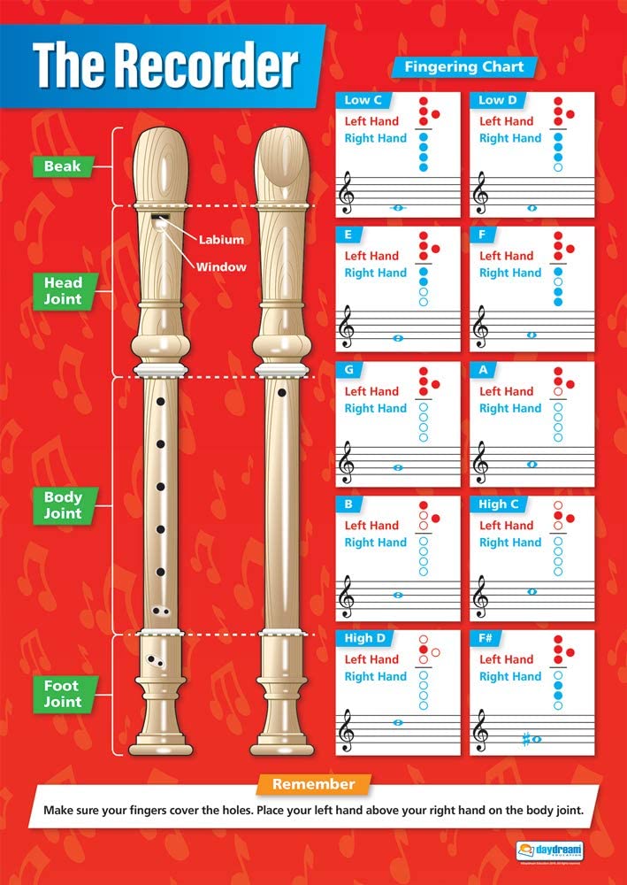 The Recorder Poster | Music Posters | Performing Arts | Music Charts ...